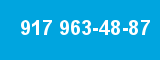 917 963-48-87